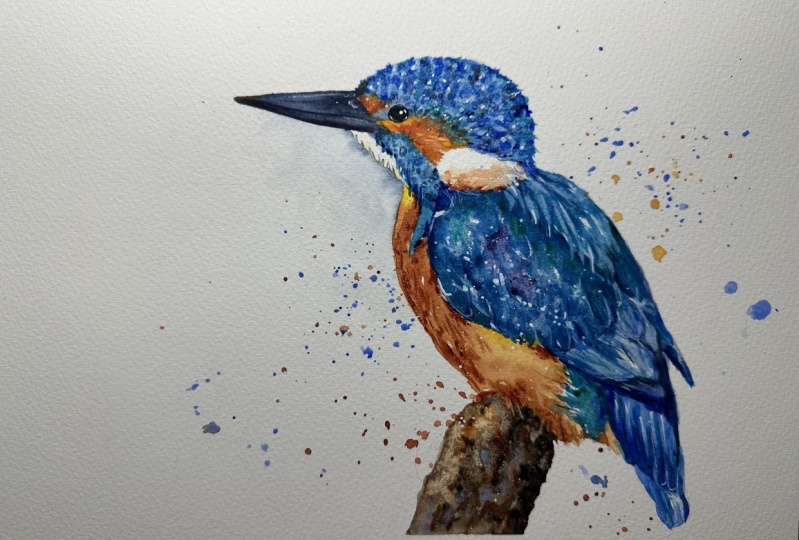 Kingfisher