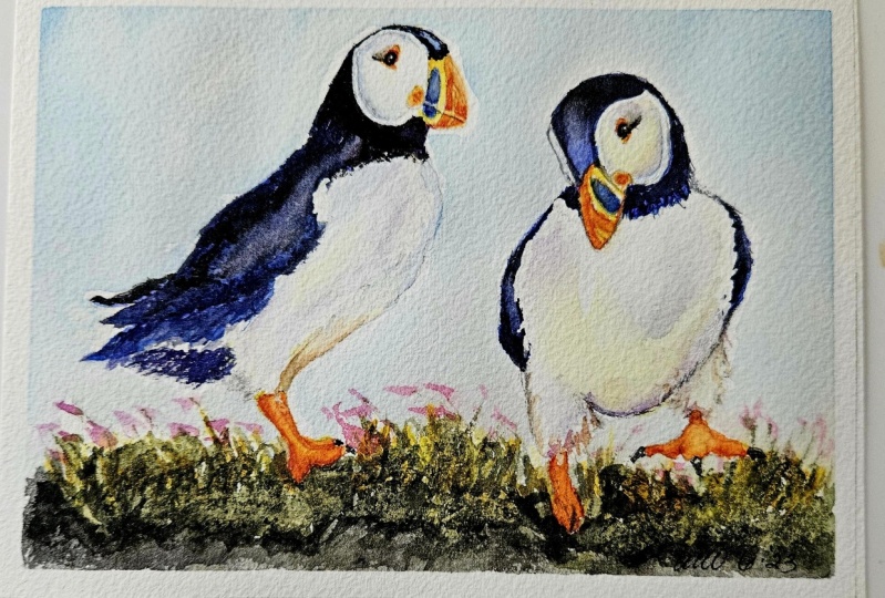 Little puffins