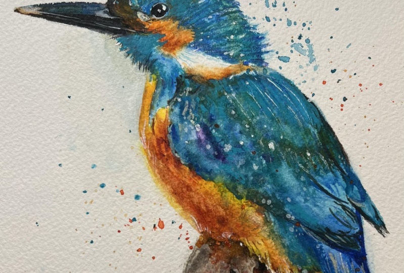 Kingfisher in watercolor