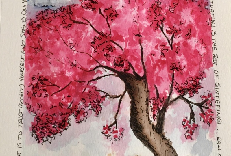 Cherry blossom