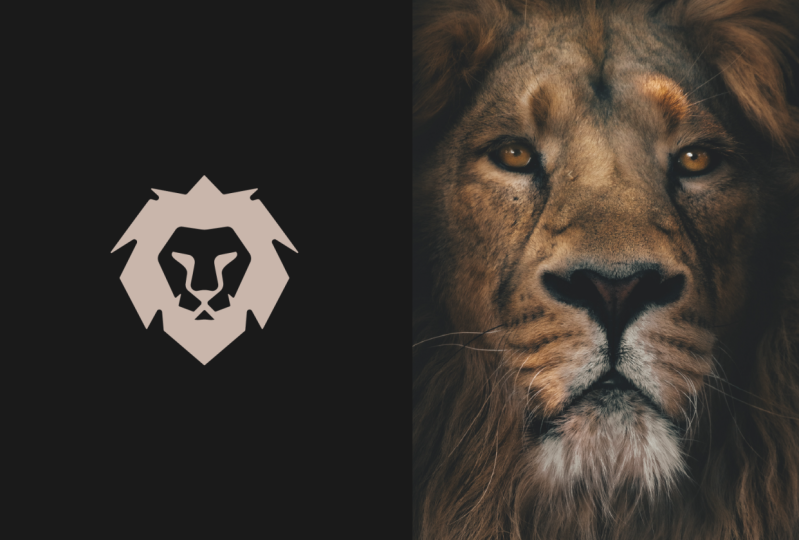 Lion logo project