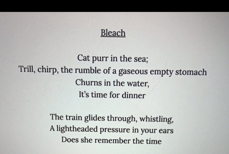Bleach
