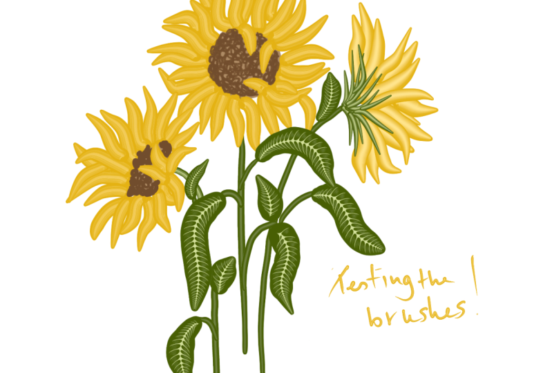 Leaves, petals and stems!