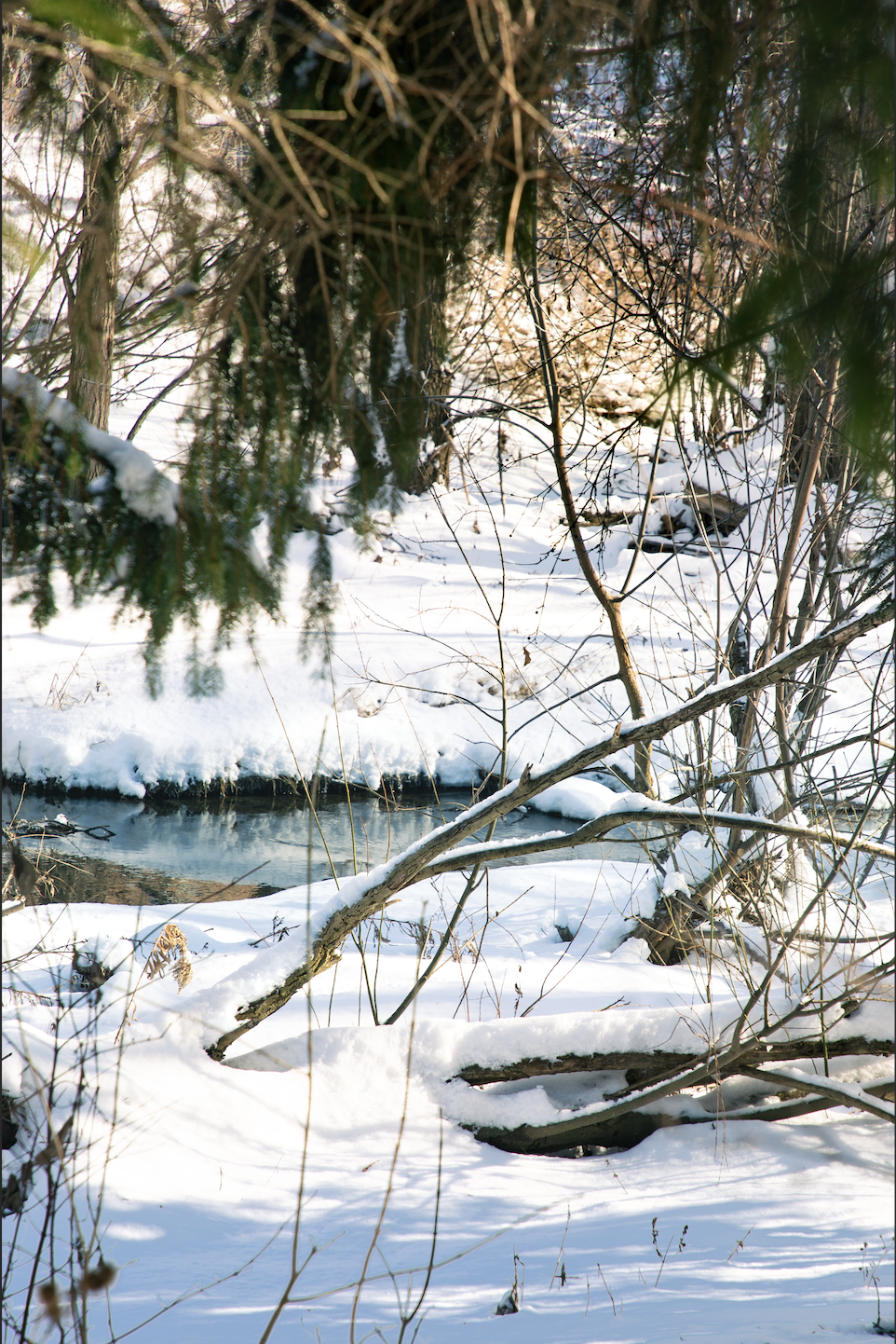 Principles and Tools