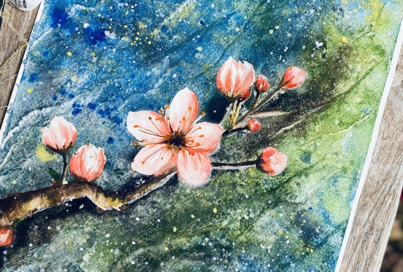 Cherry blossoms projects 1 & 2