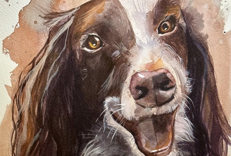 Watercolor Dog Portrait