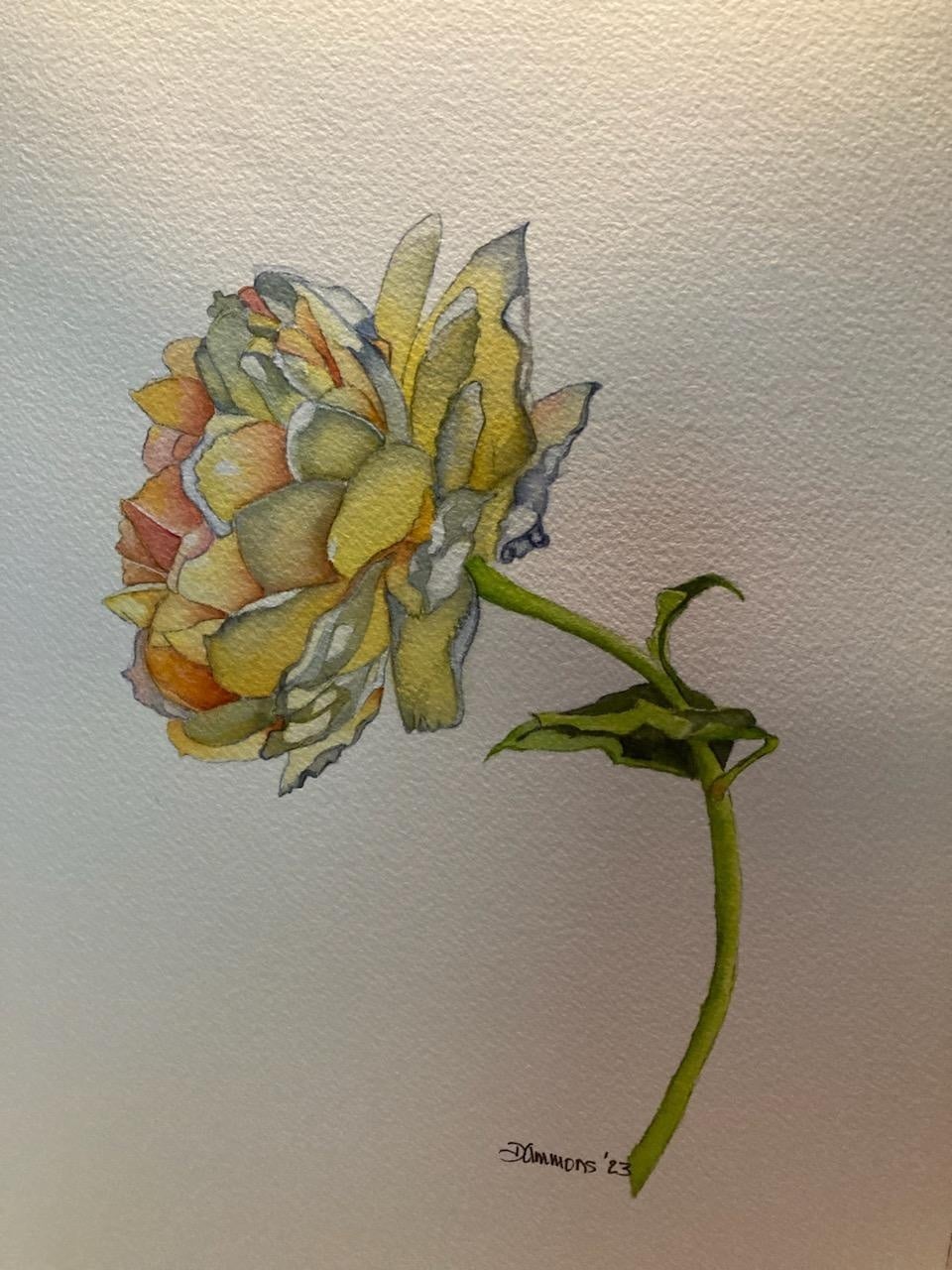 DeMasi Yellow Rose - student project