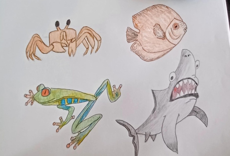Drawing of marine animals