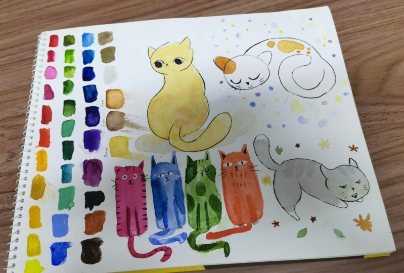 Kitty‍