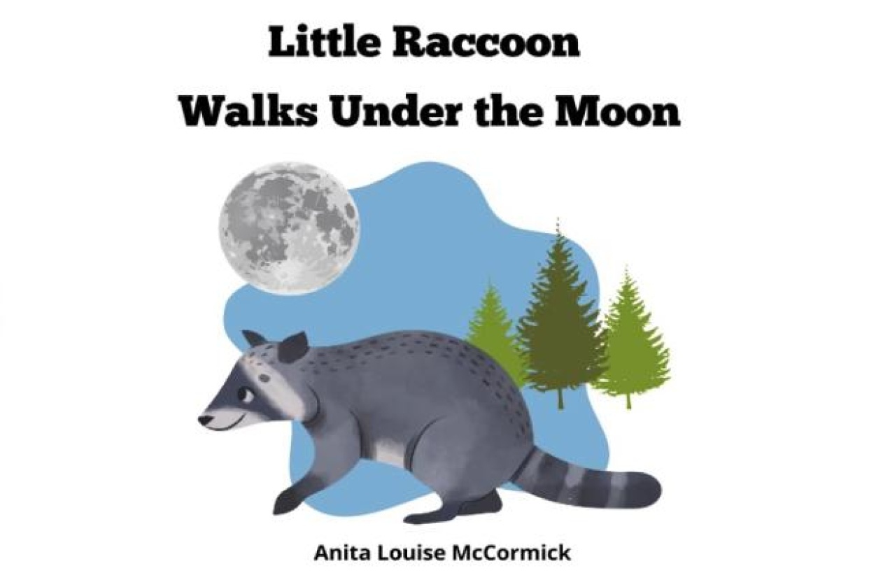 Little Raccoon Walks Under the Moon - student project