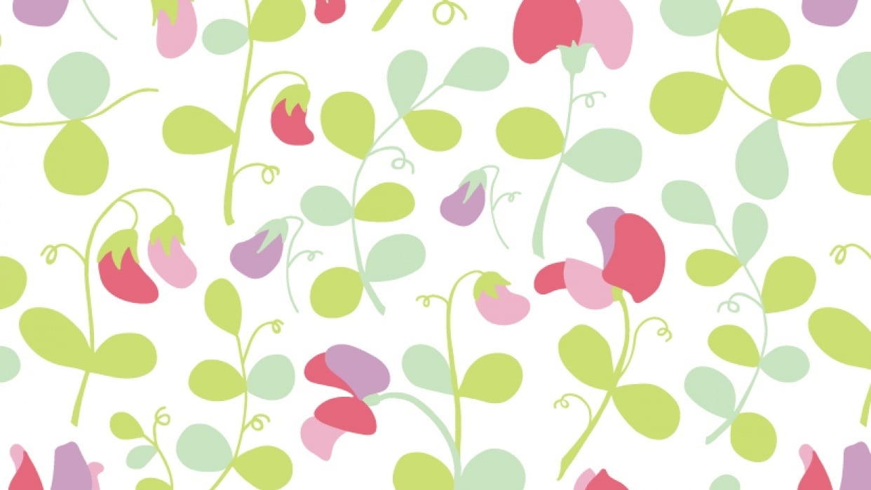 Sweet peas floral pattern - student project