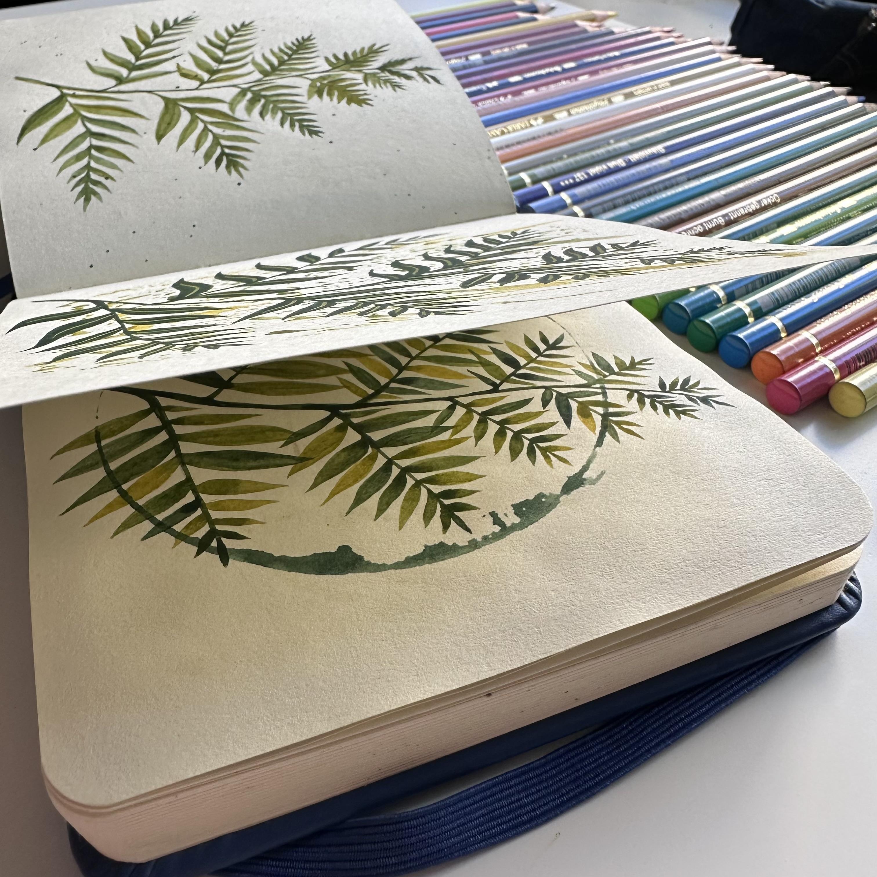 more-projects-from-class-img