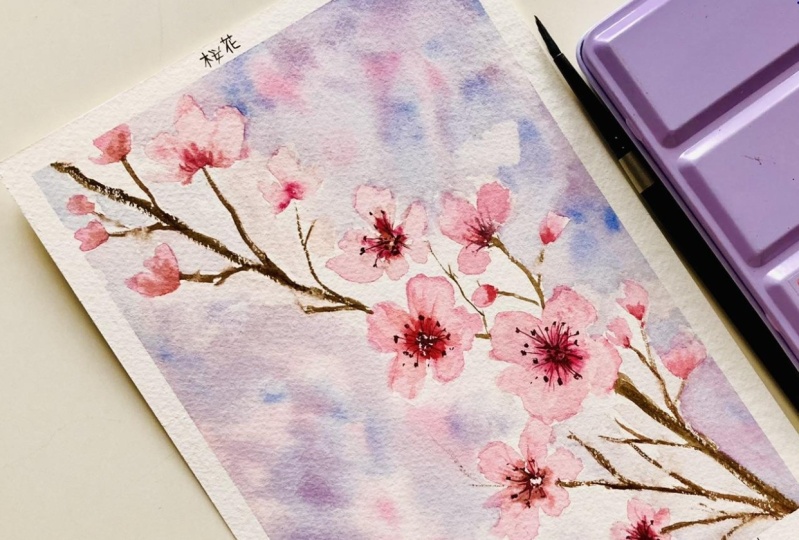 Cherry blossoms