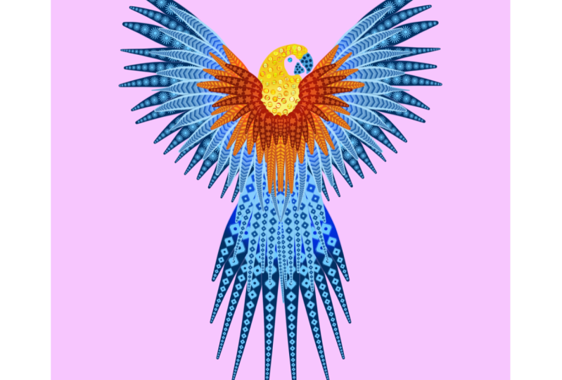 Dual brushes I