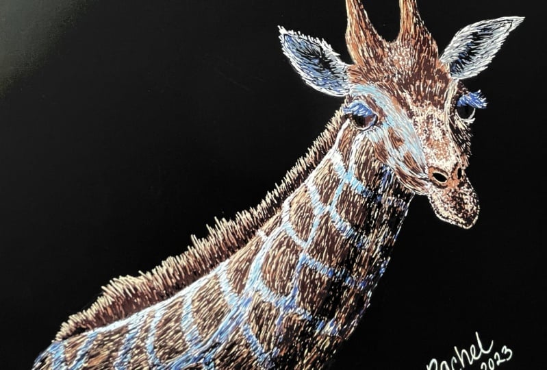 Acrylic Posca Marker Giraffe Drawing