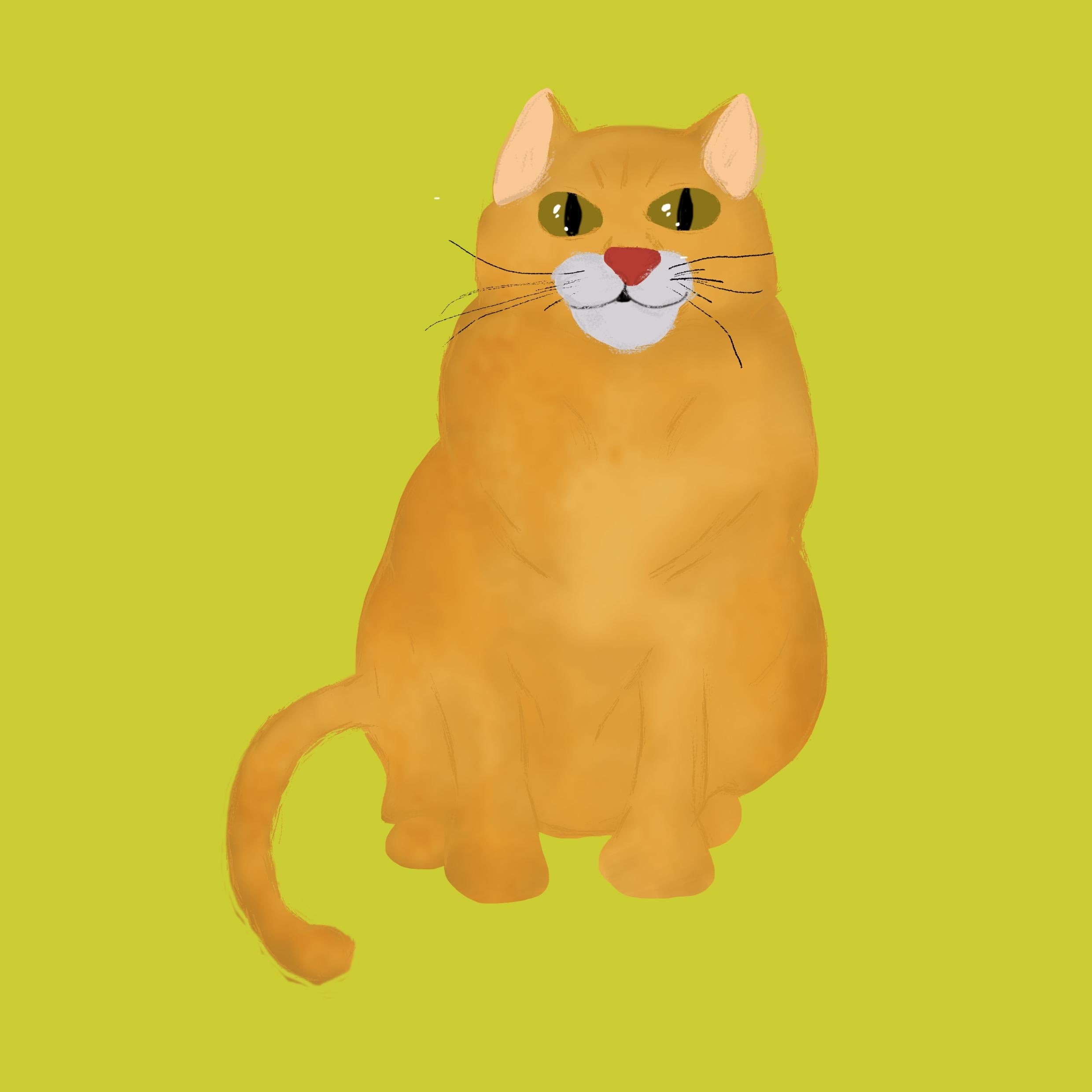 more-projects-from-class-img
