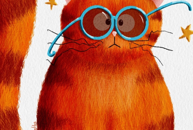 Orange cat