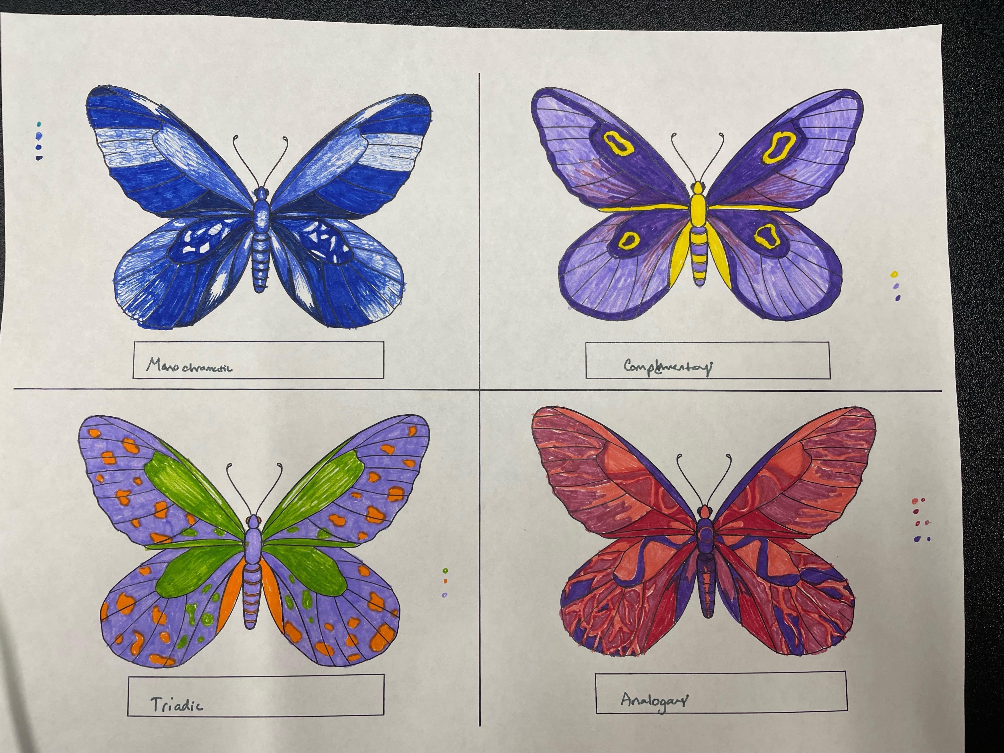 Butterfly Studies - student project