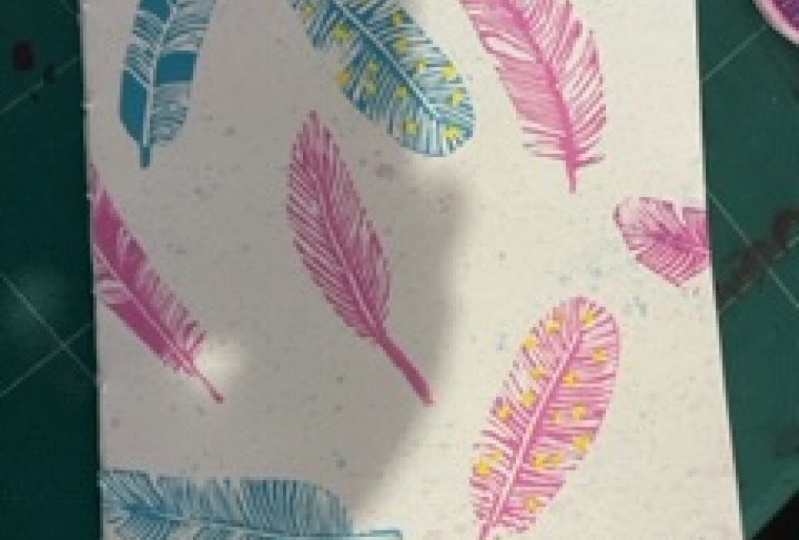 Feathers