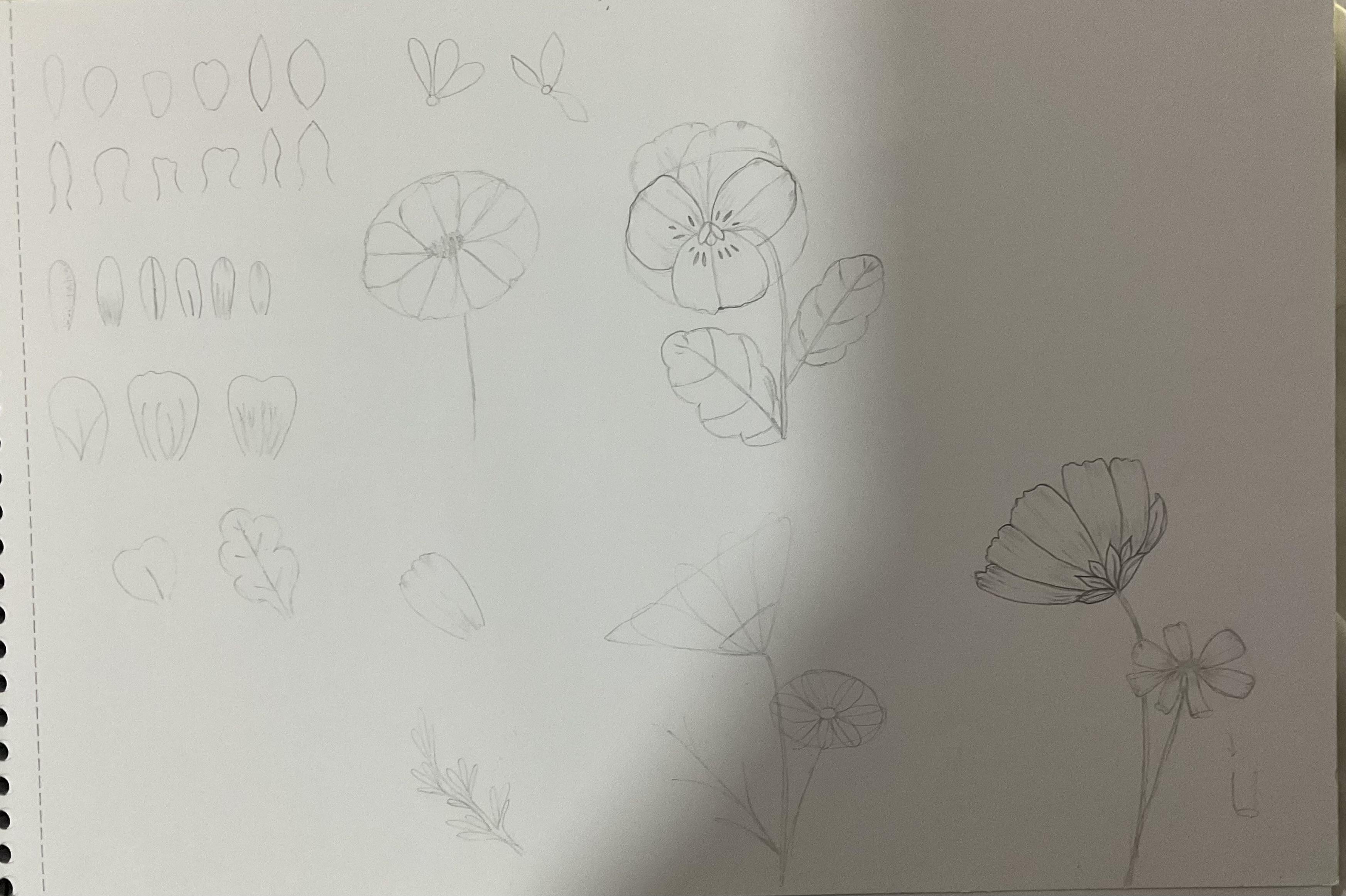more-projects-from-class-img