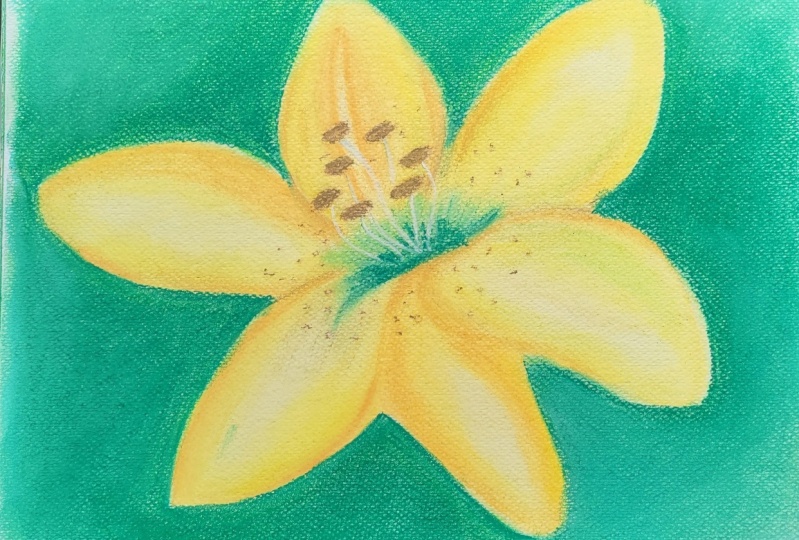 yellow lilly