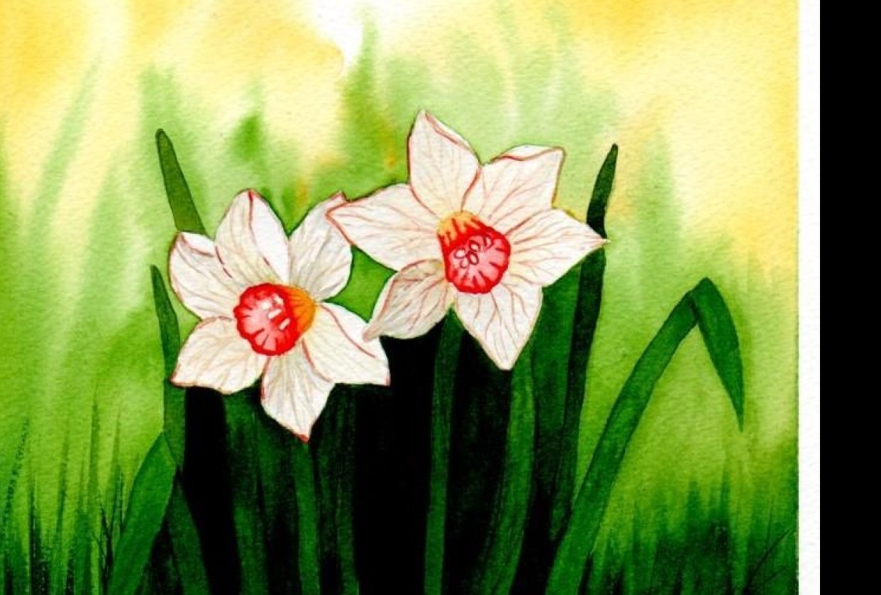 Blumen A-Z - student project