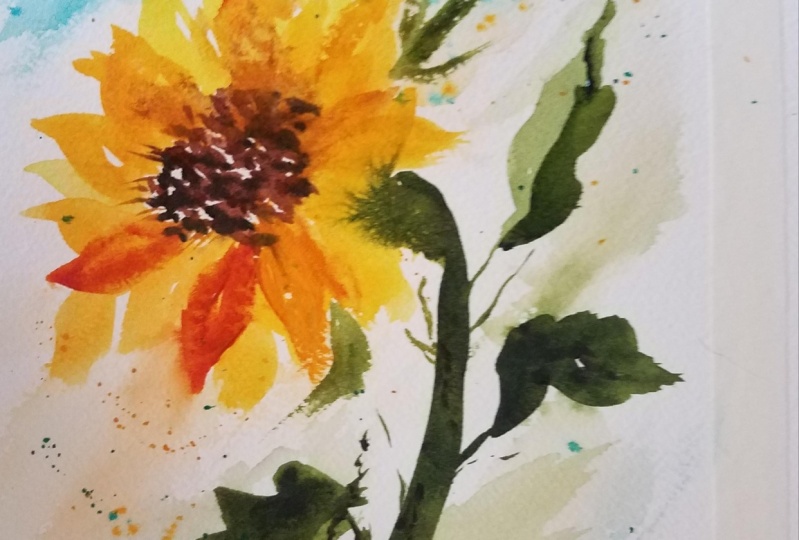 Loose sunflower0714