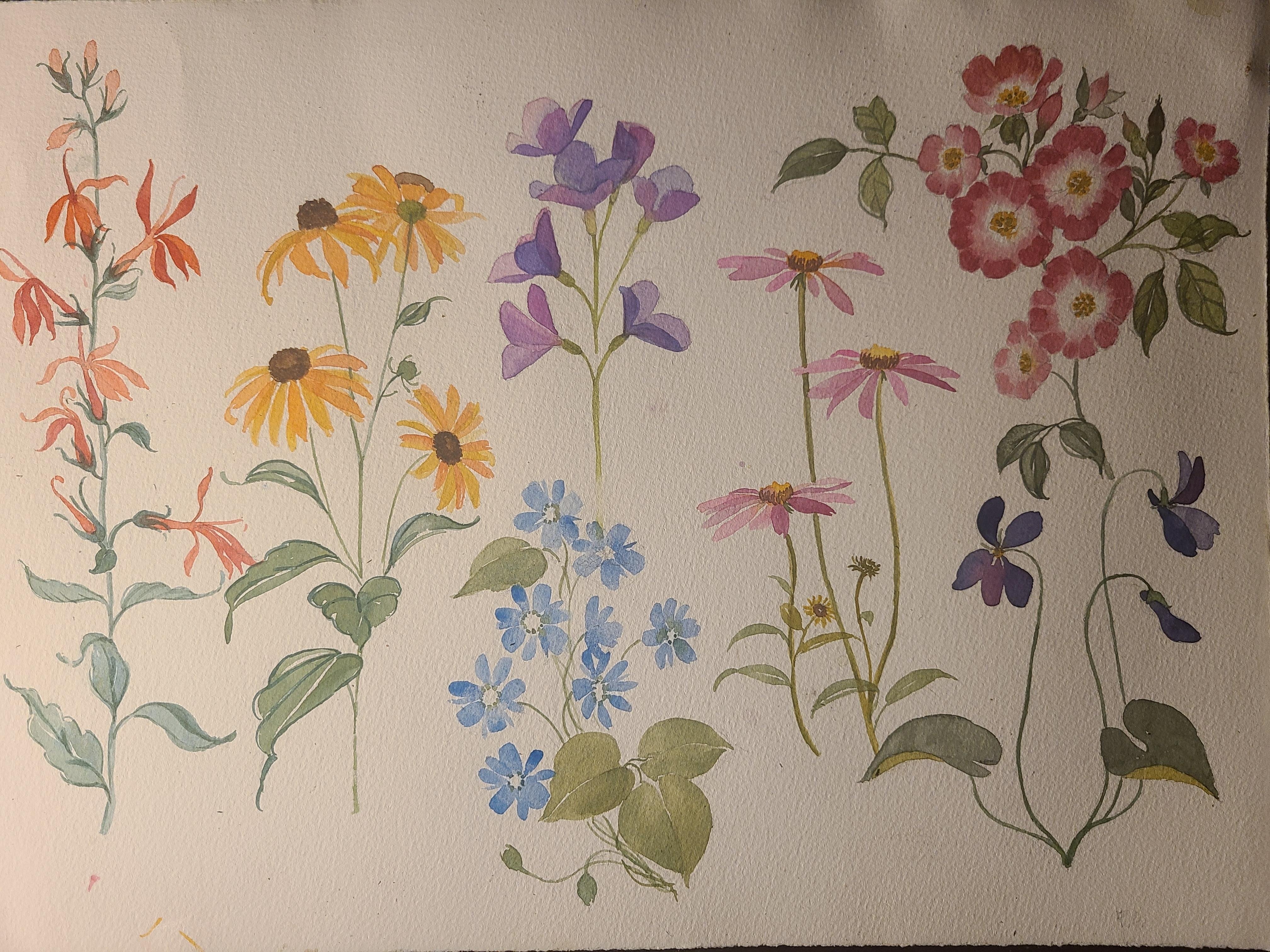 Seven Day Challenge - student project