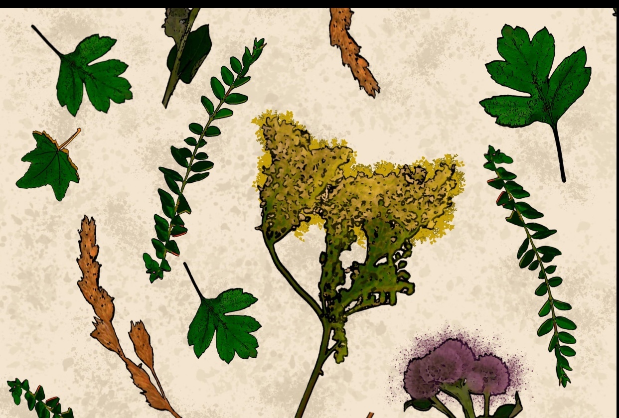 River plant pattern - student project