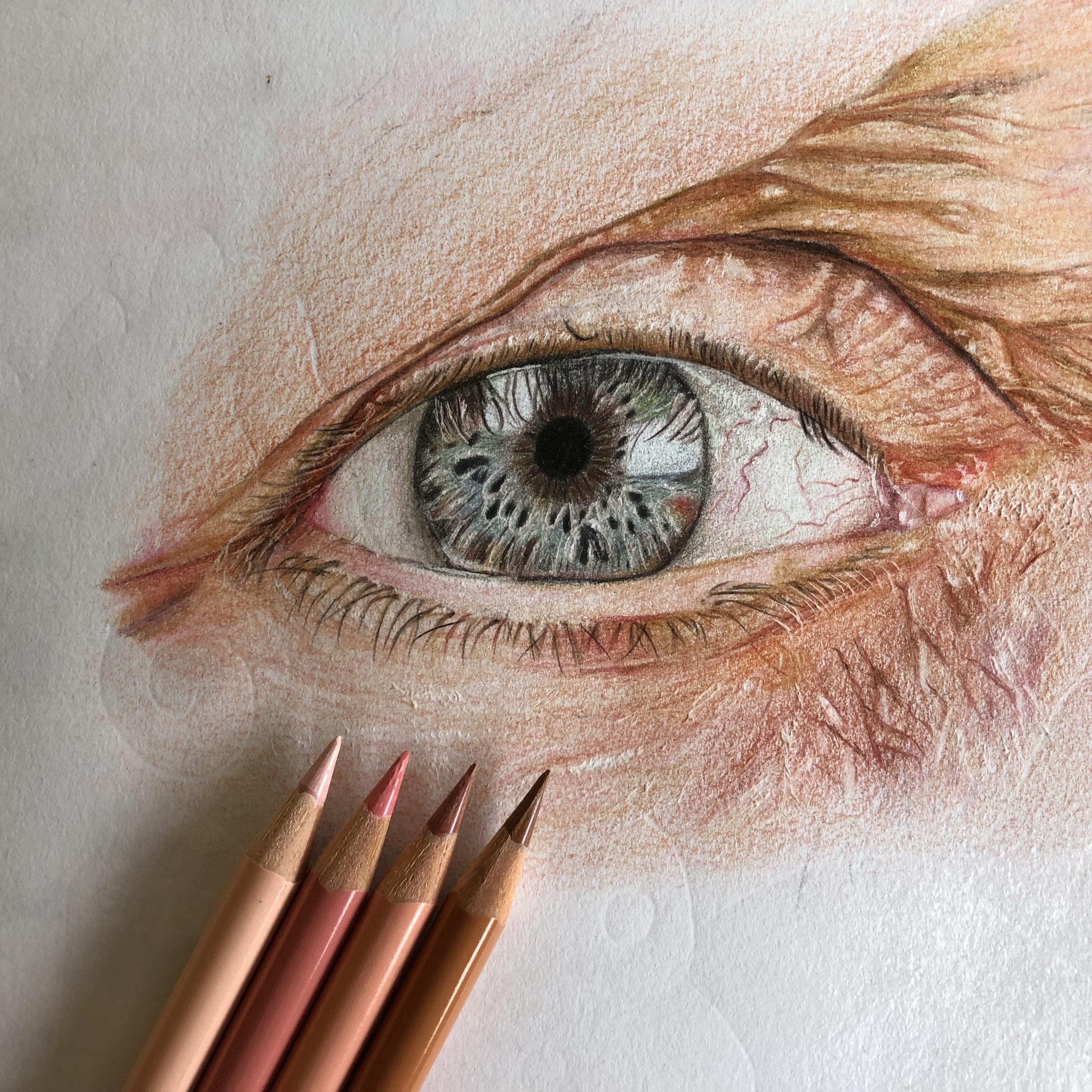 Realistic Color Pencil Drawing Eye Realistic Color Pencil Drawing Eye
