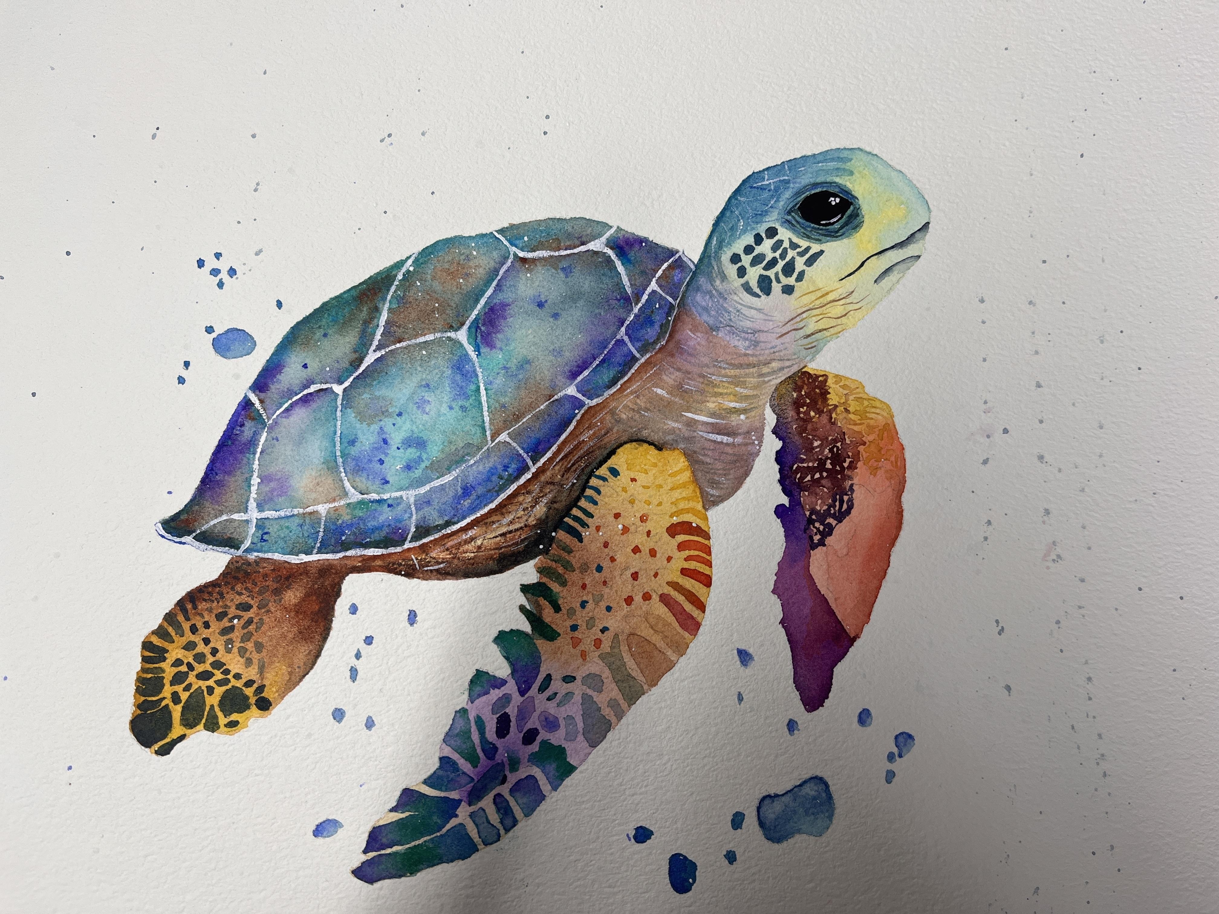 Colourfull turtle - student project