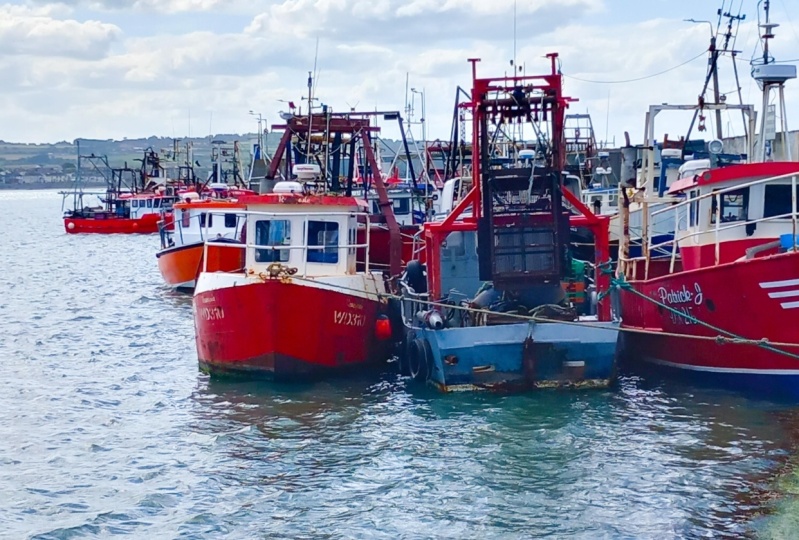 Red boats