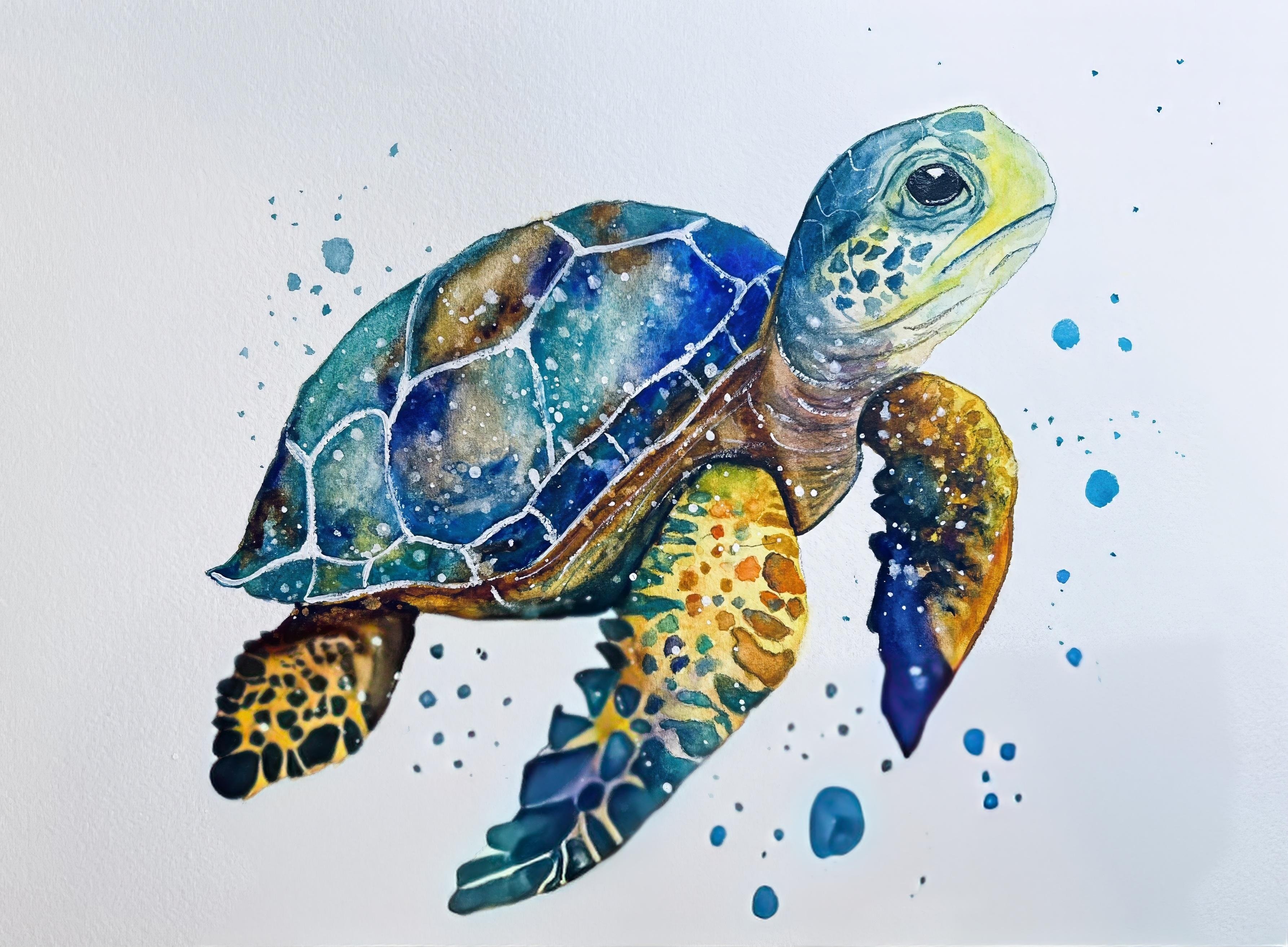 Mr. Sea Turtle