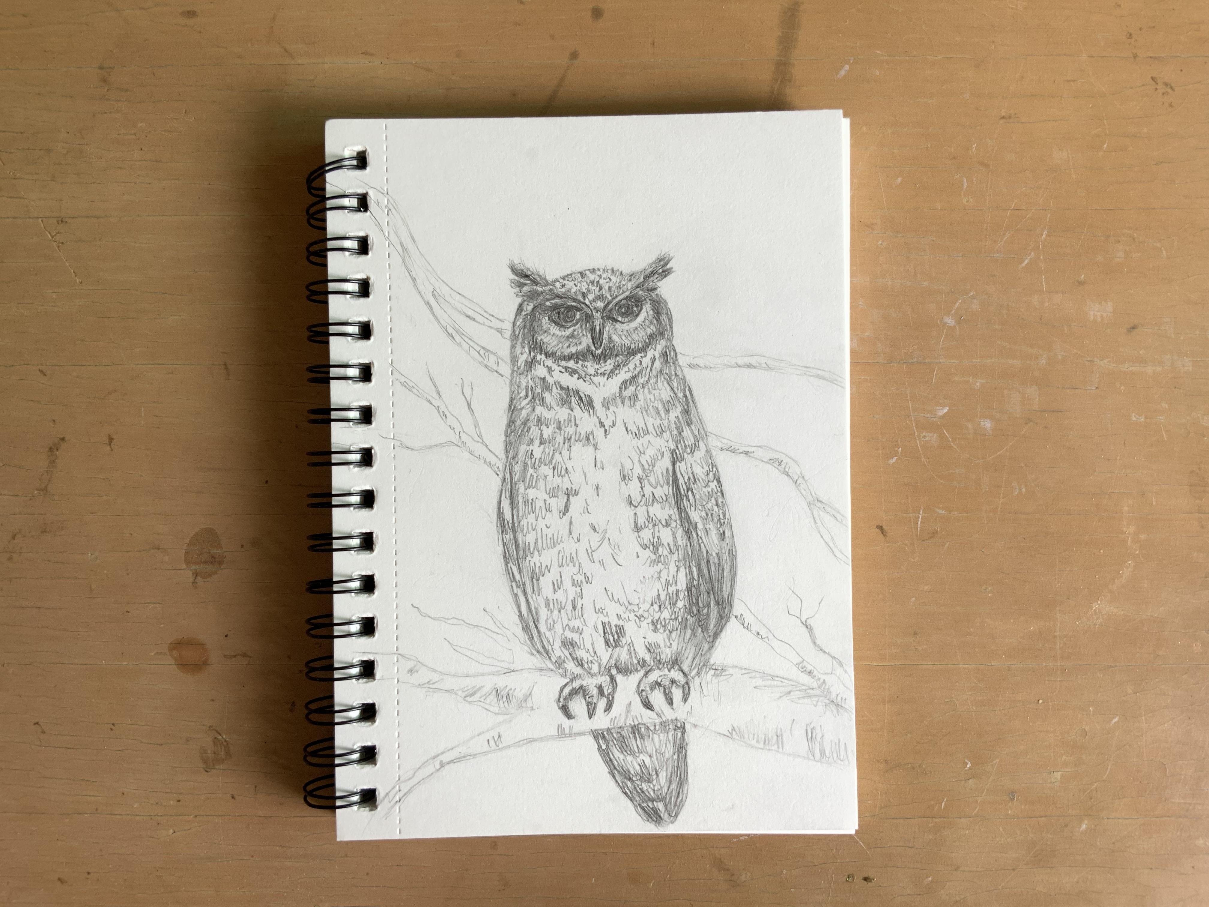 more-projects-from-class-img