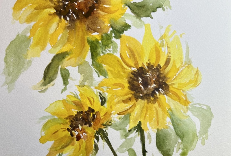 Sunflowers in watercolor
