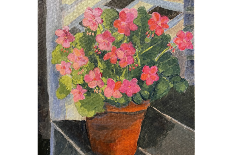 Geraniums on Porch
