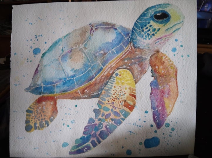 My turtle