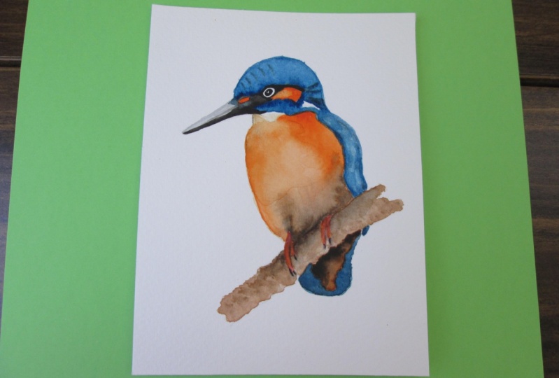 Kingfisher