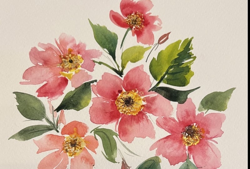 dogwood flowers