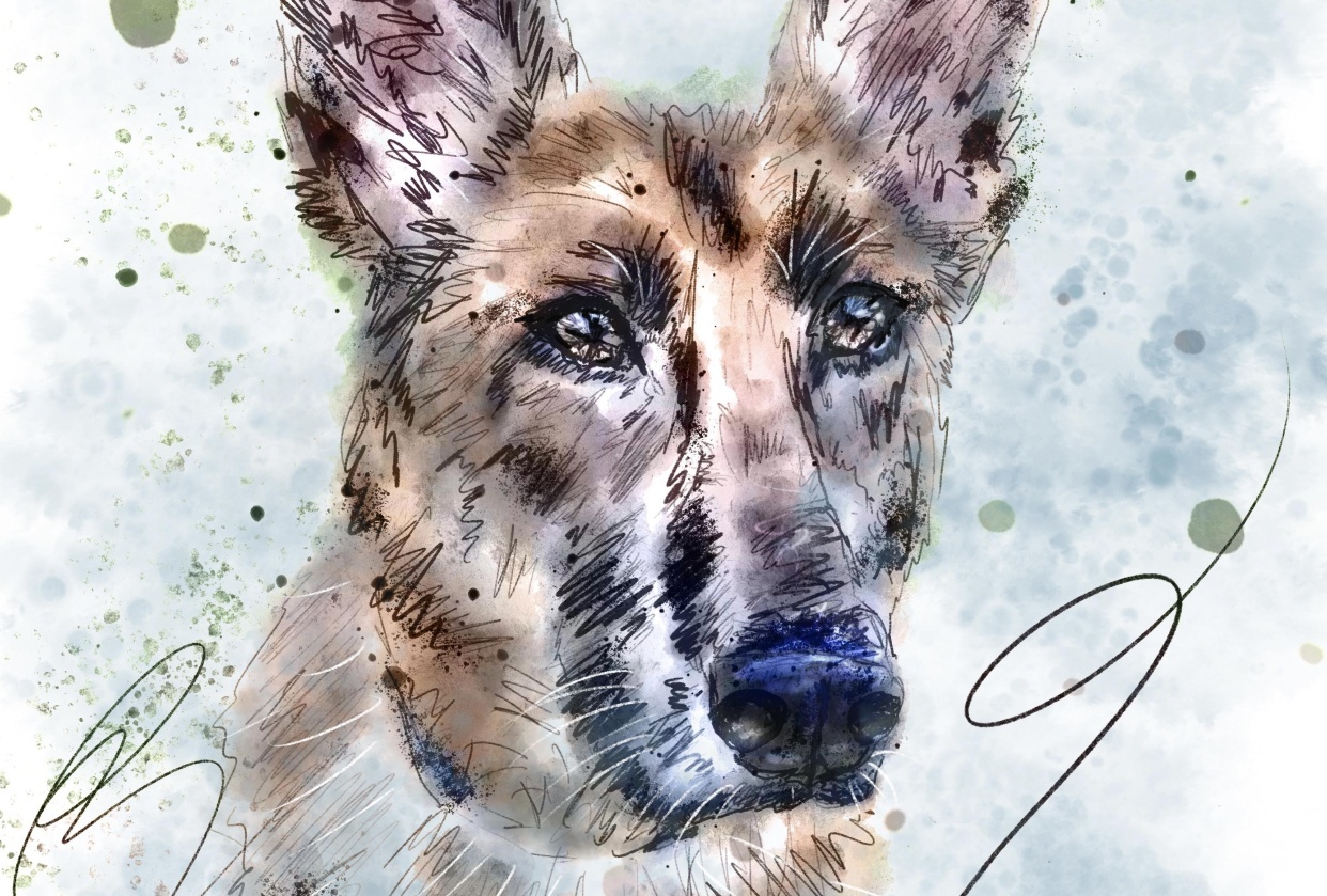 German Shepherd Dog, Sloth and Elephant - student project