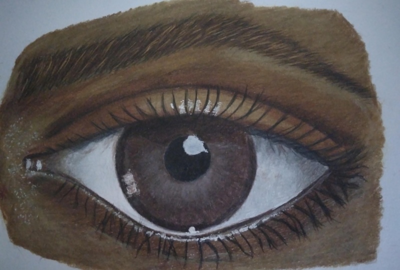 Brown eye