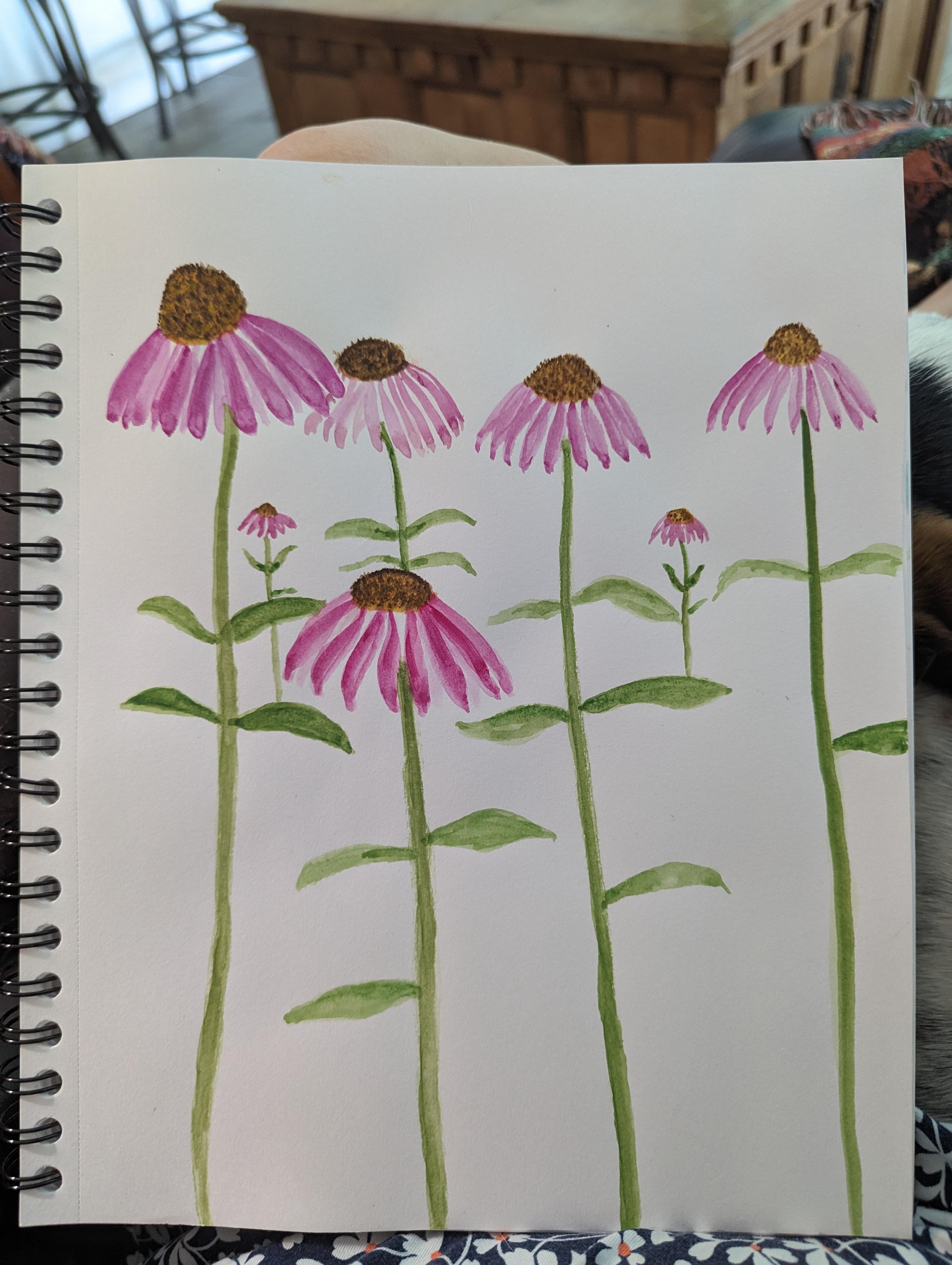 more-projects-from-class-img