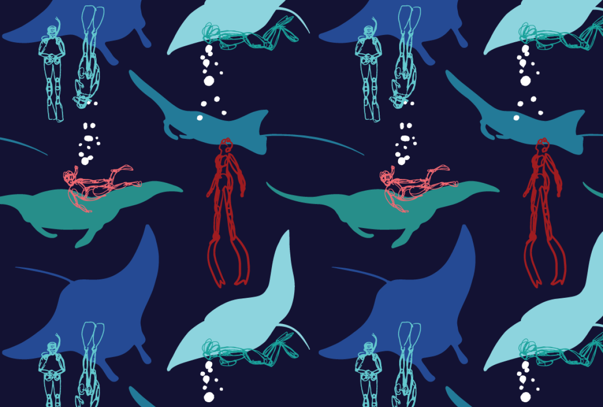 Mantas and Divers - student project