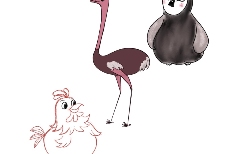 Fun birds