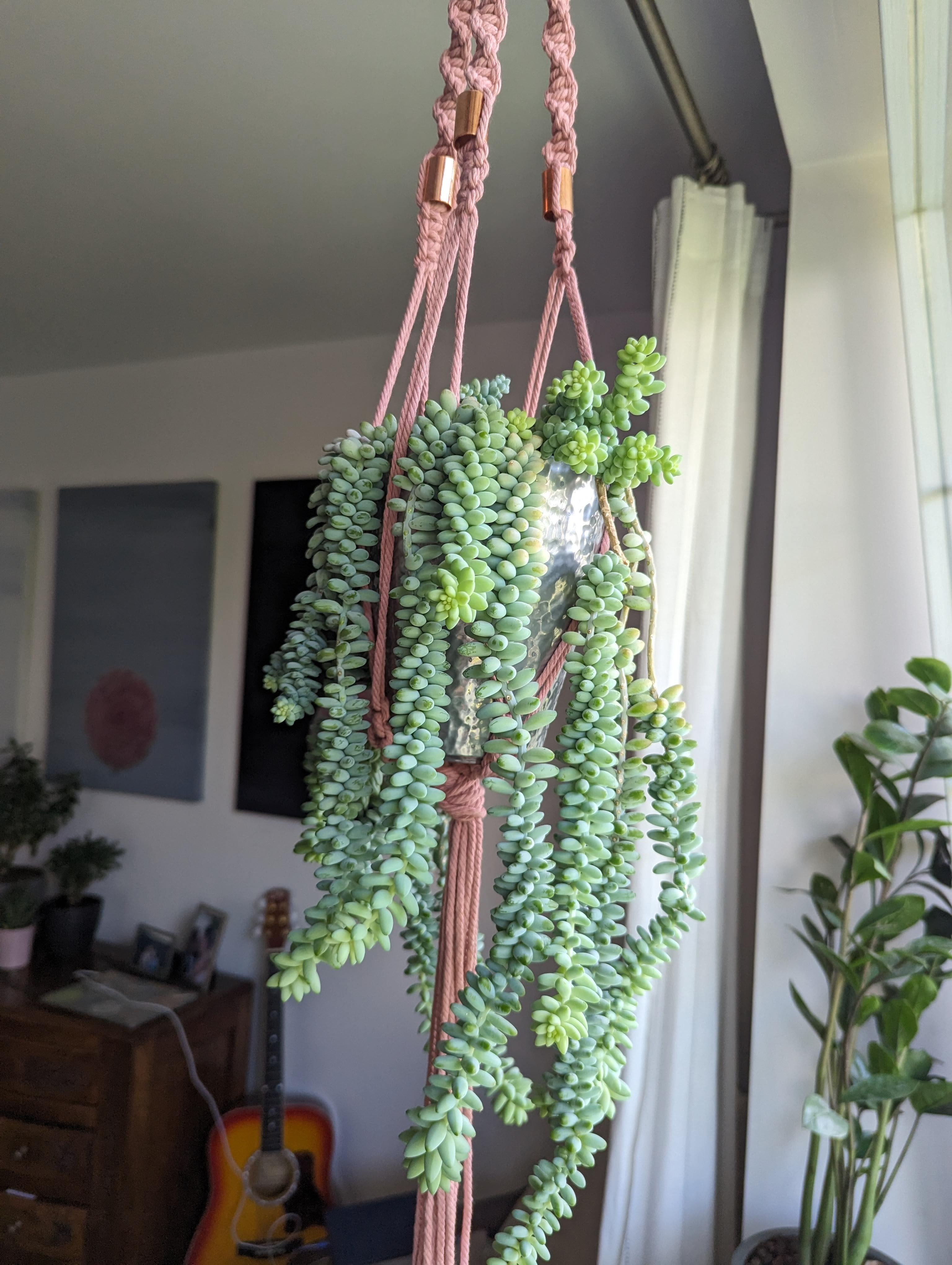 more-projects-from-class-img
