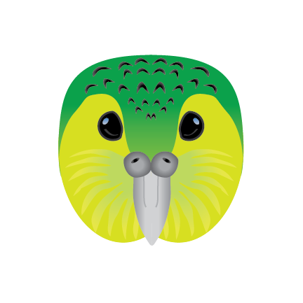 more-projects-from-class-img