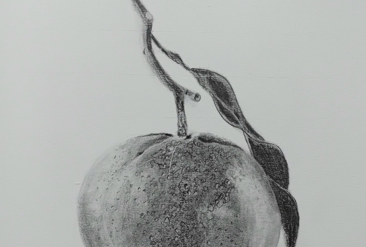 My first orange - student project