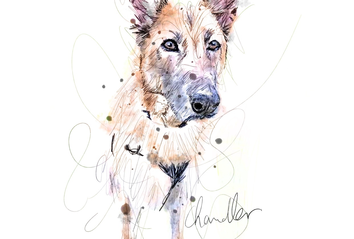 Scribbling - student project
