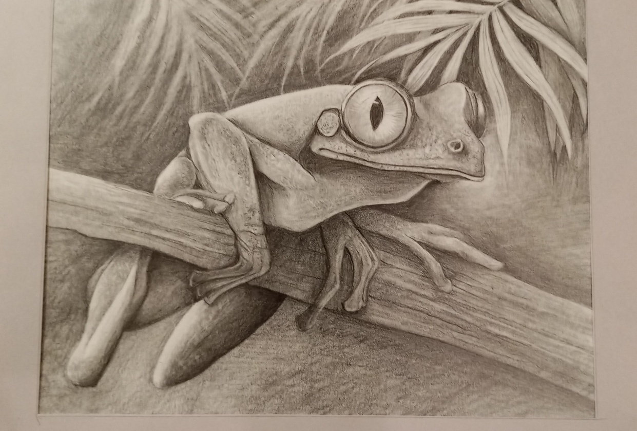 Sketching animal portraits - student project