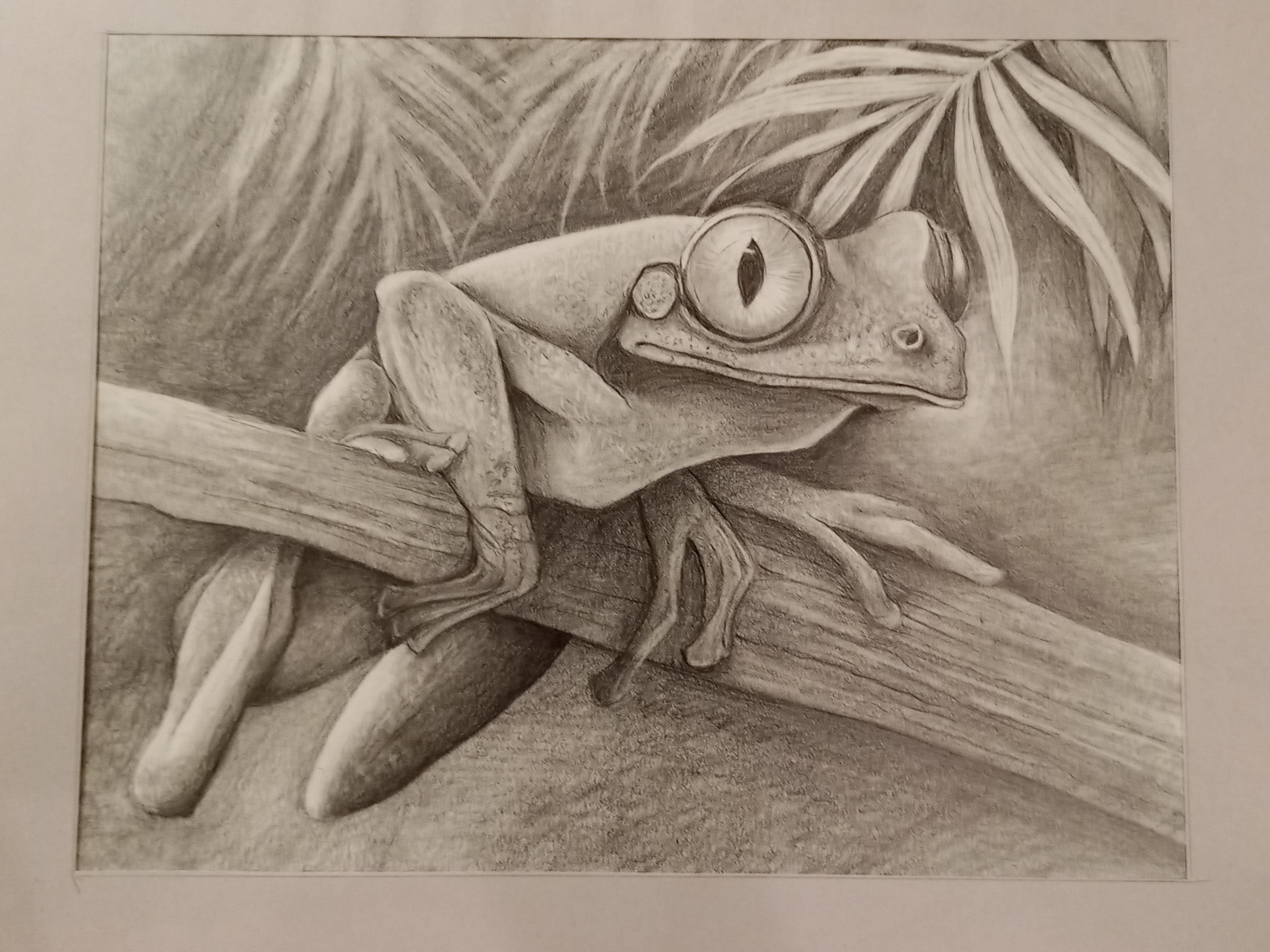 Sketching animal portraits - student project